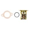 4,3 - 5,8 L Volvo Penta, OMC, GM Termostatsett Bensin motor REC3856961