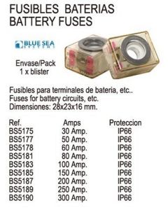 Batteribryter Sikring 100A Erst OEM nr: BS5183