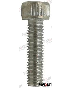 SCREW M5x20 (SVART) Erst OEM: PAGB/T70.1-M5X20