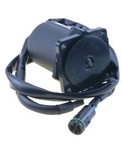 HONDA tilt/Tiltmotor Erst OEM: REC36120-ZW4-H12. Suzuki: 38100-88L00. 38100-88L10. 38100-88L11. 38100-88L12. Honda: 36120-ZW4-H12